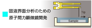 固液界面分析のための液中AFMの開発