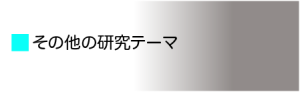 その他の研究テーマ